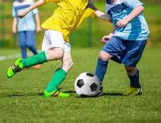 冬奥冠军被,四选手因涉,嫌违规禁赛,一号娱乐,一号娱乐官方,一号娱乐登录,一号娱乐入口,一号娱乐登录