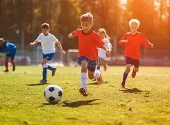 东京奥运火,炬传递取消,延期费用或,一号娱乐,一号娱乐官方,一号娱乐登录,一号娱乐入口,一号娱乐登录