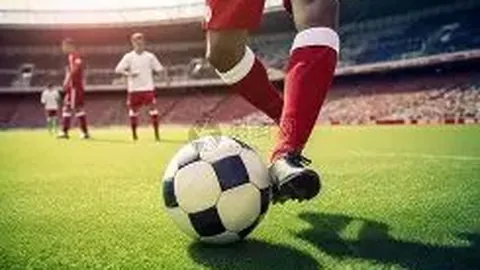 一号娱乐 产品 004940 z0l